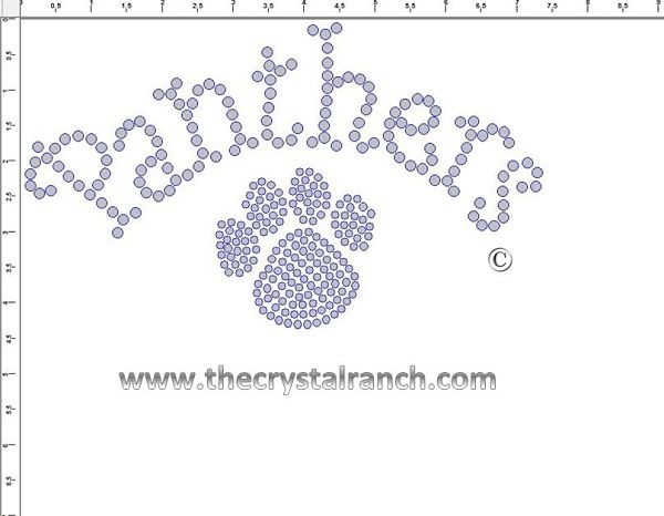 Panthers with Paw Print Rhinestone Transfer CRT193