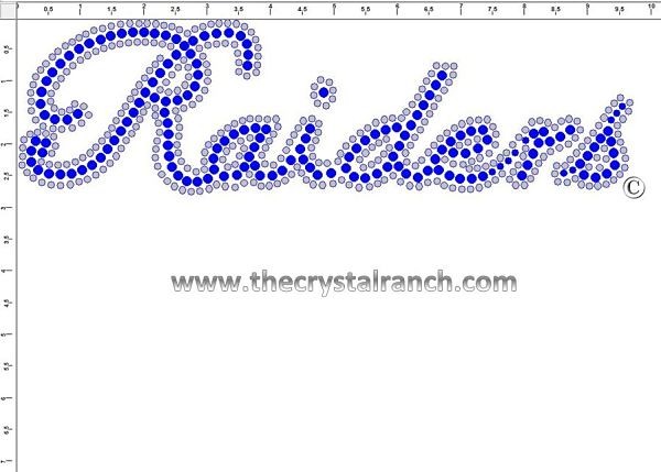 Raiders Rhinestone Transfer CRT210