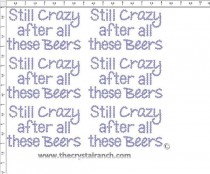 Still Crazy after all these Beers - Petite (6) Rhinestone Transfer CRK146
