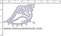 Shell Rhinestone Transfer CRY131c