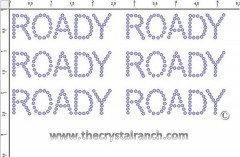 Roady - Petite (6) Rhinestone Transfer CRK154