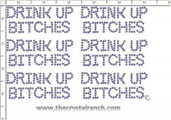 Drink Up Bitches - Petite (6) Rhinestone Transfer CRK156