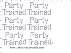 Party Trained - Petite (6) Rhinestone Transfers CRK021