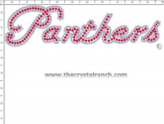 Panthers Rhinestone Transfer CRT194