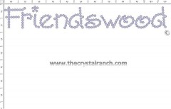 Friendswood Rhinestone Transfer CRT263