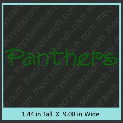 Panthers Rhinestone Transfer CRT188