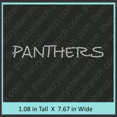 Panthers Rhinestone Transfer CRT197