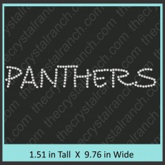 Panthers Rhinestone Transfer CRT198
