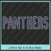 Panthers Rhinestone Transfer CRT195