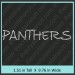 Panthers Rhinestone Transfer CRT198