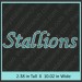 Stallions Rhinestone Transfer CRT339