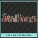 Stallions Rhinestone Transfer CRT373 